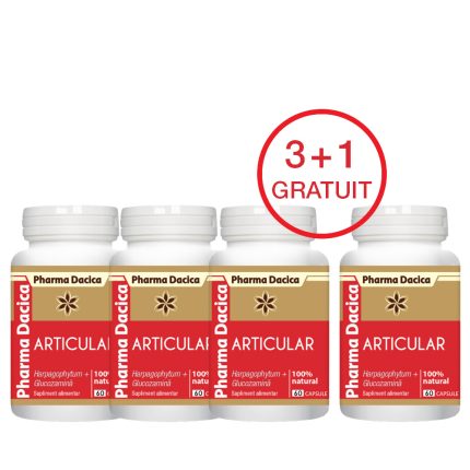 Articular Protect 3+1 Gratuit, 60 capsule x 4